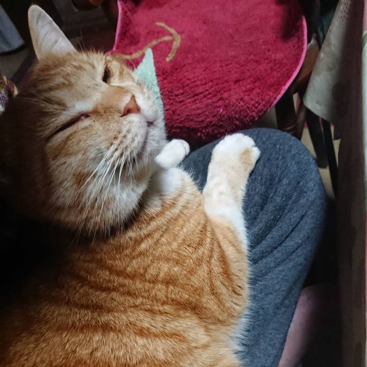 0e3d210a 3d68 4474 a02a 80bbc9c77f34 1580503488667