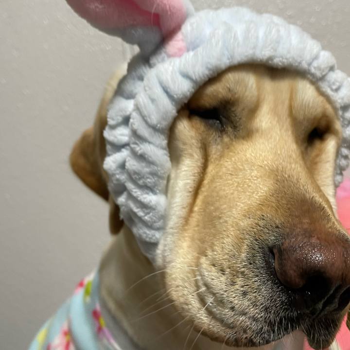 0e3d4cd6 88de 452f 9eb5 66e378215aca 1675265144094