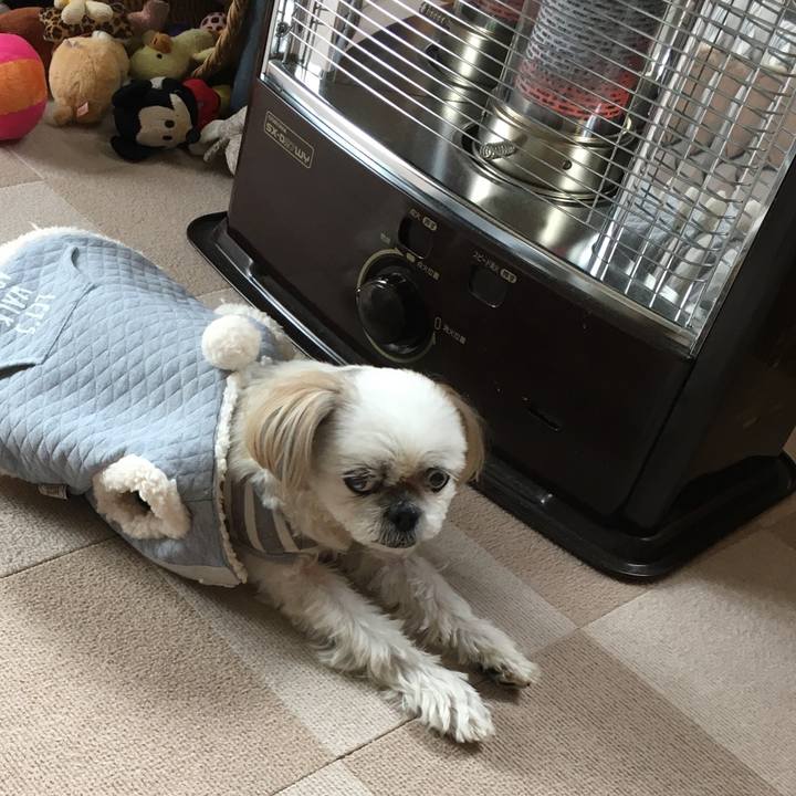 0e3d854e 3387 47f5 ae2f aea2043694f8 1607570275629