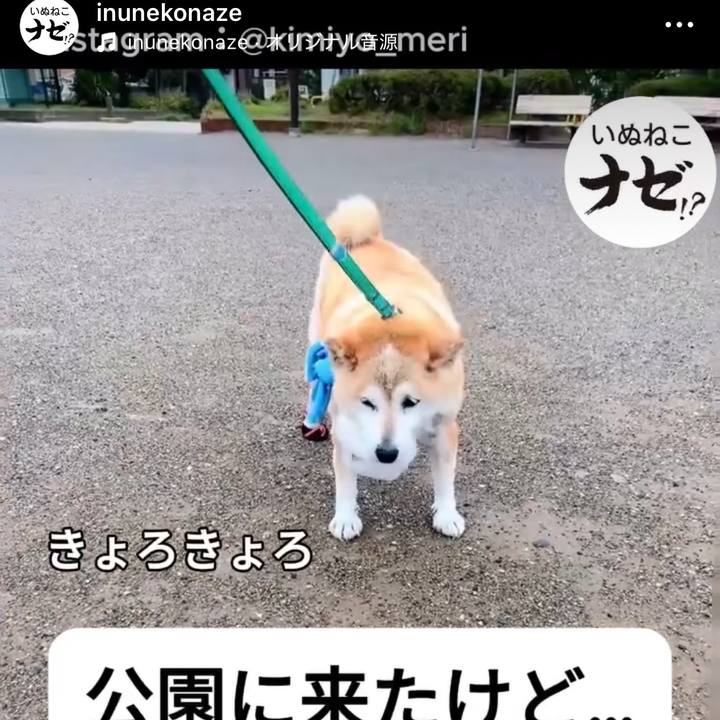 0e3d9ff4 bc59 4d6c 8f12 9533a6214bd1 1755302029583