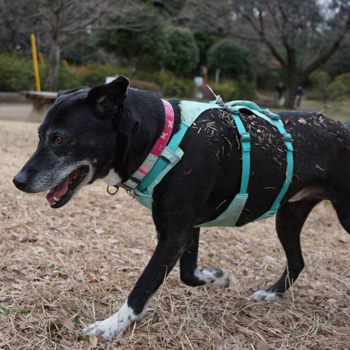 0e3db4cd 9b36 46f0 b80d 2169fcc694f0 1772413258304