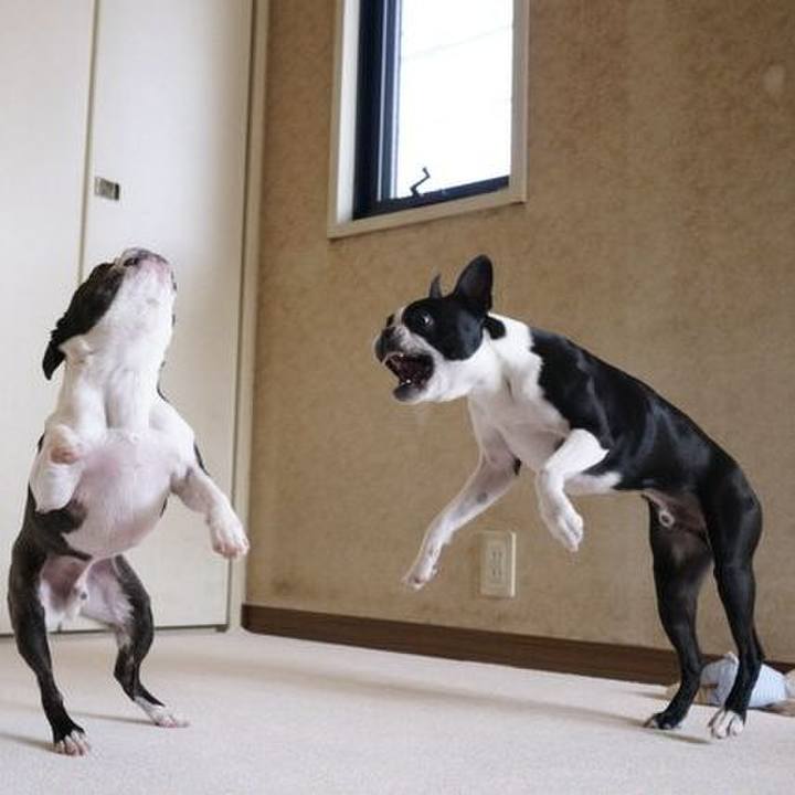 0e3e0527 992b 4781 8d62 729704e73ff3 1523405330105