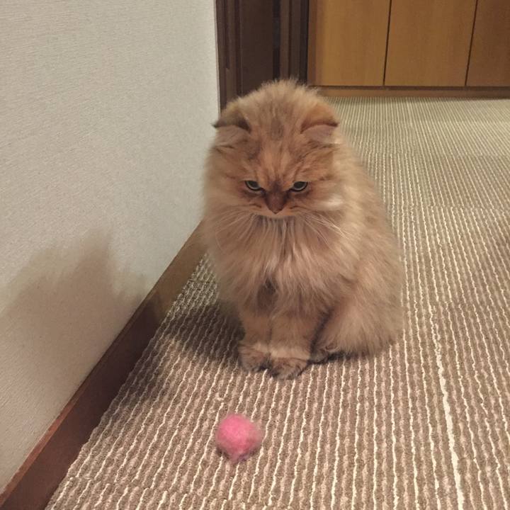 0e3e1894 08bd 4fd8 95e4 68677187f704 1555569462838