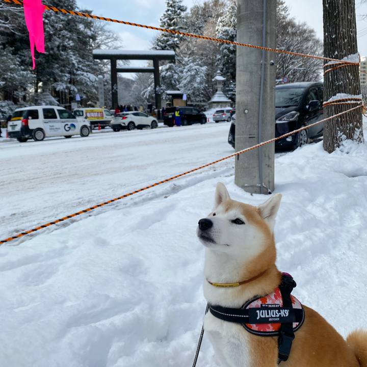 0e3e35bd 11d0 4588 9d03 8913e5c03ab6 1735707462836