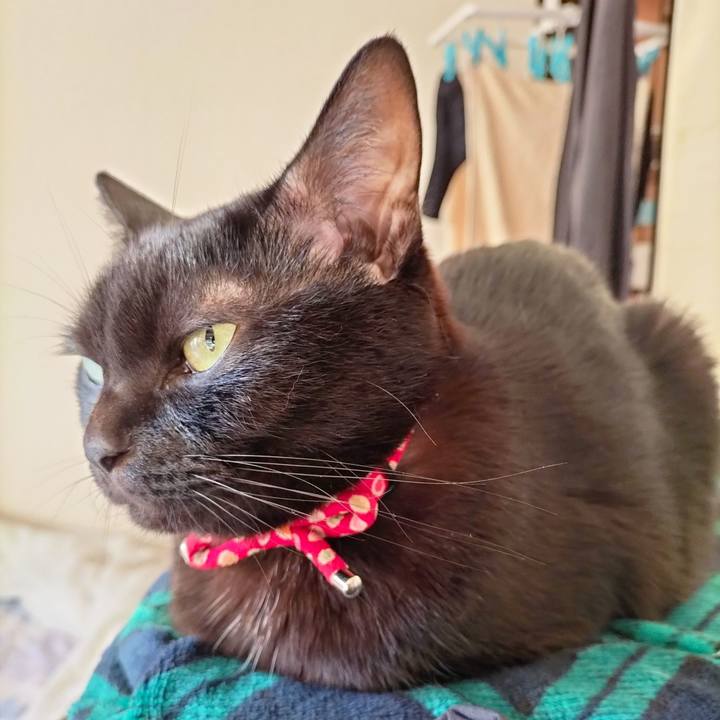 0e3e59e7 c51f 473e b2ef c6d8df61a665 1666822353461