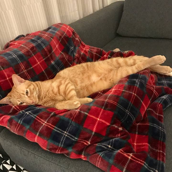 0e3e5e2a 9faa 41c5 a453 38be97c313e6 1589094488361