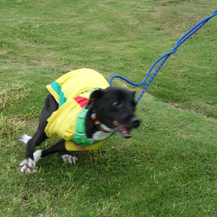 0e3e9017 f981 4529 8a71 b02c7544568b 1594982268227