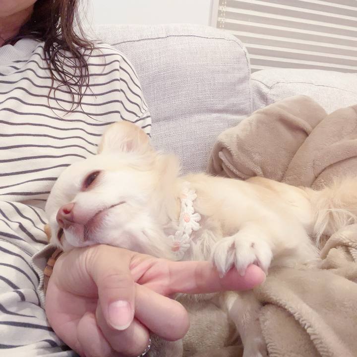 0e3e974d 675f 410c 87ee a70dc2525afb 1699273540688