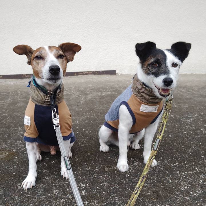 0e3eb19e fecb 4037 82f0 b61e09eec444 1757805330356