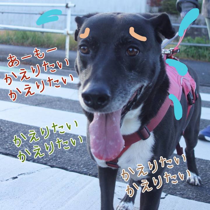 0e3eeb5e b471 4e38 bd39 17daba4307f2 1700702914413