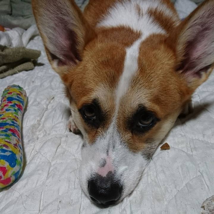 0e3f119a c17f 41cd 91ce 6f50177e9f8c 1571133697491