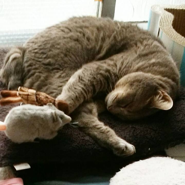 0e3f1d5a 3381 46b8 900f 5229e35b5a64 1595737650049