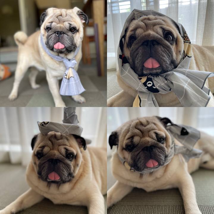 0e3f7024 fdda 4f07 8c11 bf3099d04947 1723246232051