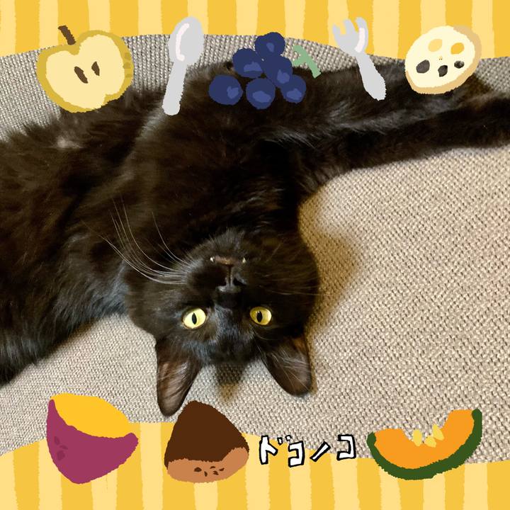 0e3f9b3e 9fb7 4e32 b1f6 f12479848f25 1726800090446