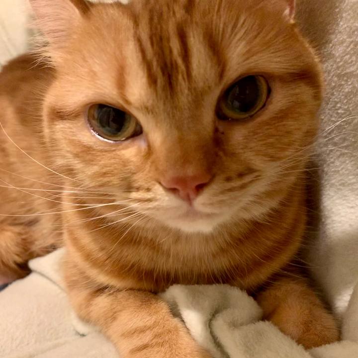 0e401bde e7cf 4270 aec3 da8fdaae5857 1614727509988