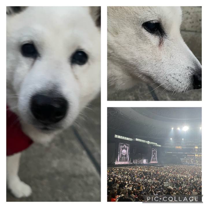 0e402971 fa1b 49fd abcb 6e57a42003e0 1707370487573