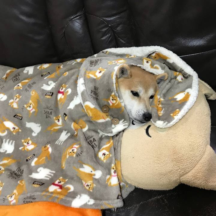 0e4045cd b7f2 46ec bd17 75a89589bbce 1547039099010