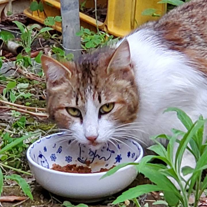 0e405f65 43d2 4f92 92db eda259cd70a5 1686641531284