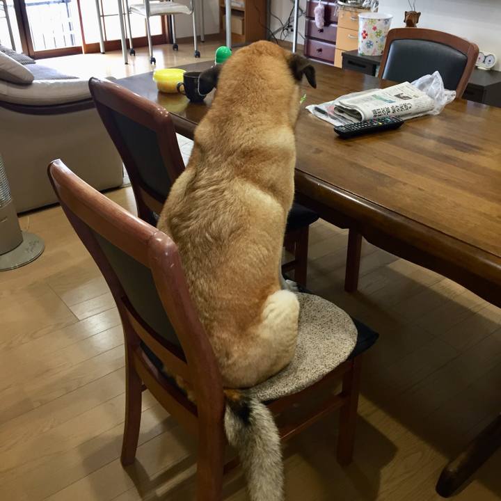 0e40aa57 0d21 4dda 943a d5480e07814c 1524610997695