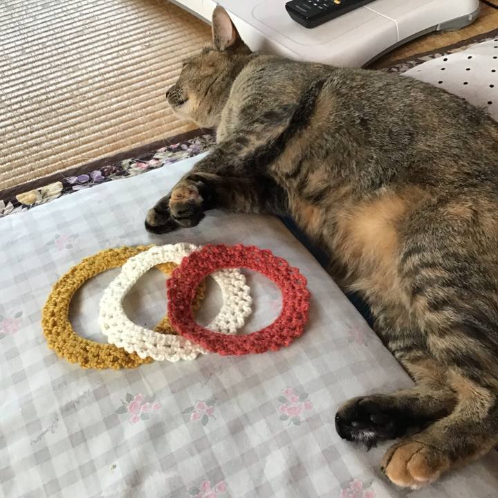 0e40aec7 40c0 4967 b4db a1e943dadb31 1622248974067