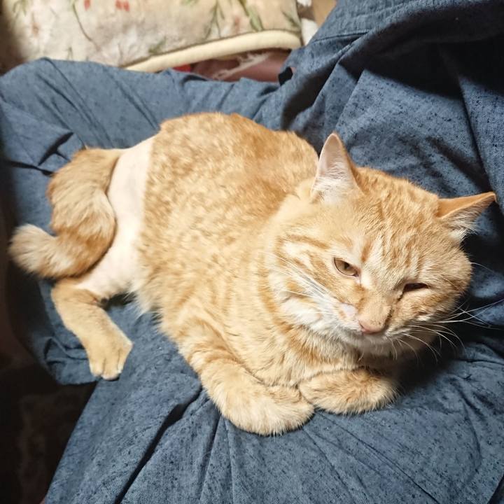 0e40b6f7 13e0 4571 b499 107b44e5499a 1654346387005