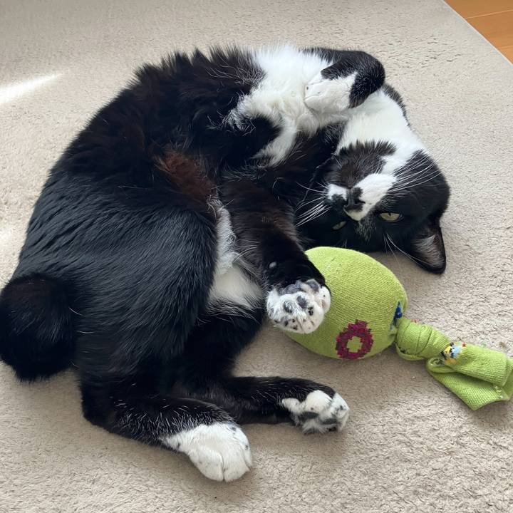 0e40c28d 89b4 4a65 8028 7f233970a338 1747627246105