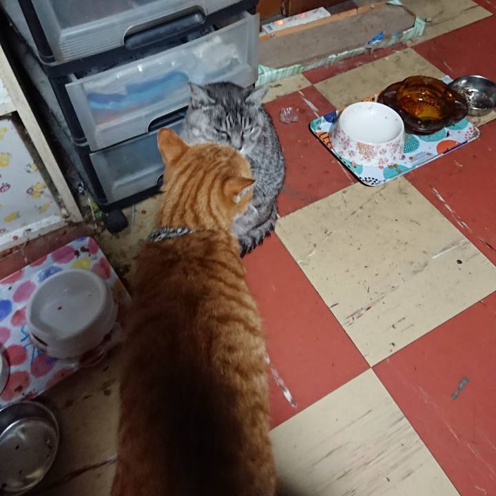 0e40c758 fbd4 4d5f b6ba ab61e83e6b7f 1572983429587