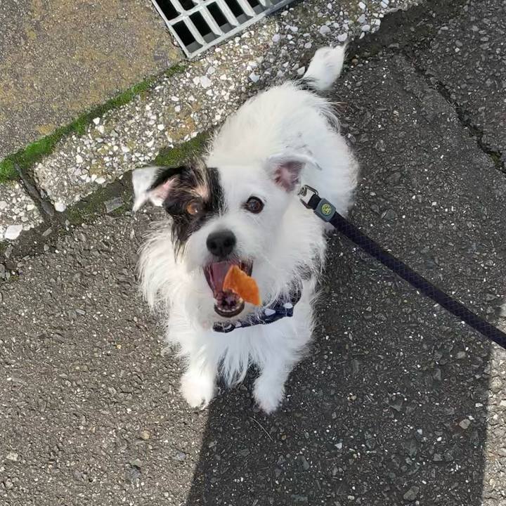 0e40cc5e 967a 4d36 84f5 bfdda2db9302 1664065243891