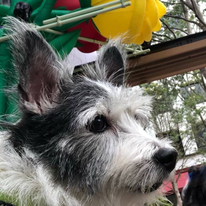 0e40e1f8 63ee 4007 9f2a 885b1eebcc1a 1572869072487