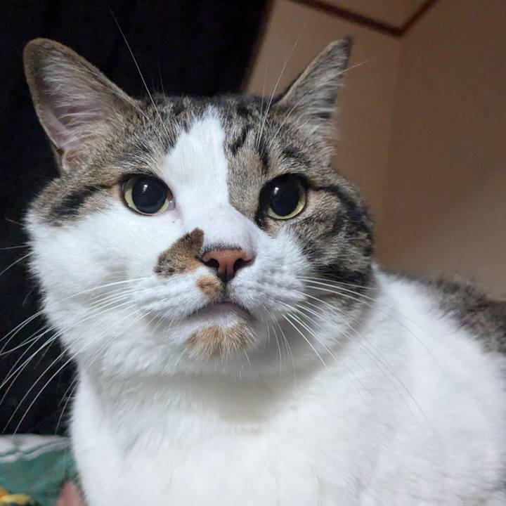 0e40f77e 5aca 4e10 87aa 79931a5b9a36 1754568923148