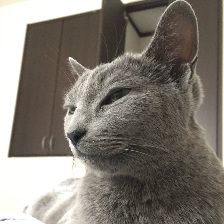 0e41ce7d 9eea 4cb4 bf8f 71bac2f0a3e1 1559378585068