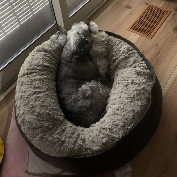 0e41ed76 82ac 449b 90d3 8d03a0cf7b05 1662096795585