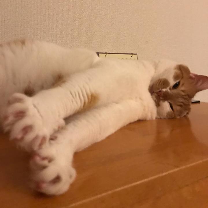 0e420894 795b 4750 a91c 080bc5d1c999 1559216581356