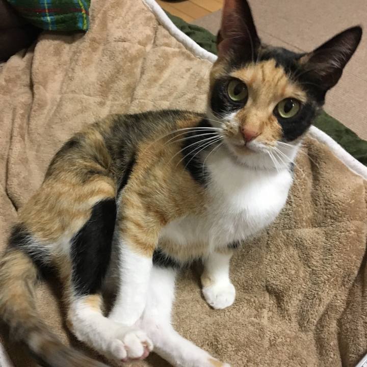 0e4220b2 a4a3 469e 95f8 09754eaa9175 1520166722475