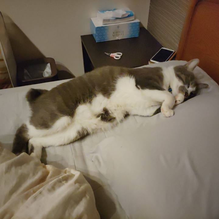 0e422cbc 0d43 47b0 bfba ad1bac5ff970 1661517411205