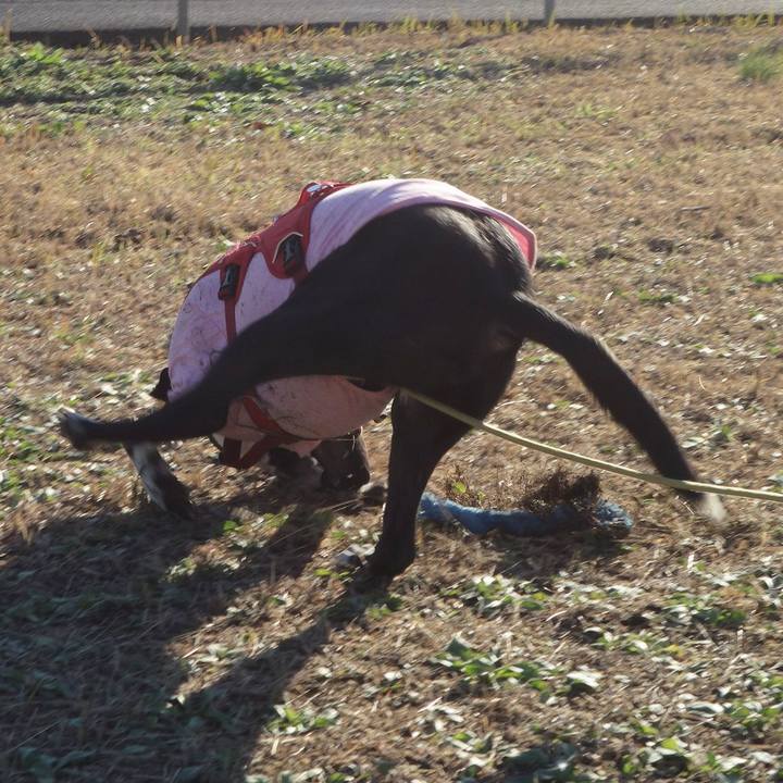 0e423a7b fbd9 430f b17b 6194d9e9f6e2 1670811129598