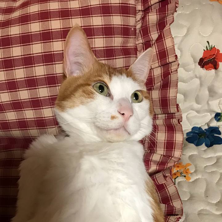 0e424e3f 8e38 4268 b415 a60655c4b247 1521123574870