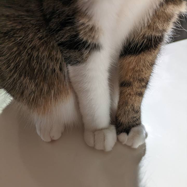 0e426204 634e 4035 a510 d10593b400a0 1696324359861