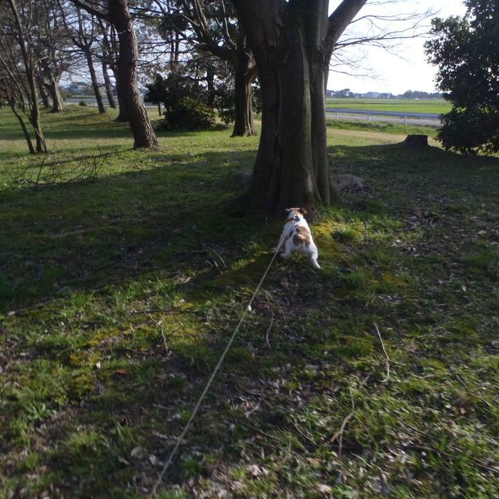 0e428eb0 e333 4d75 a916 7aae4579b246 1526387924112