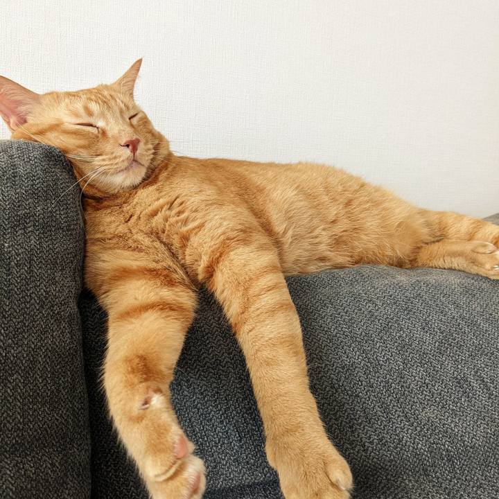 0e429943 506f 406b 9f93 f5d27be88123 1661904649820