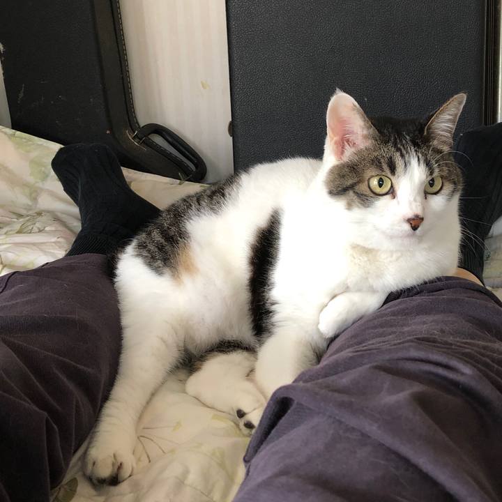 0e42bcb6 5563 4ab0 bdc9 4dd3b73fd4bf 1625285595130