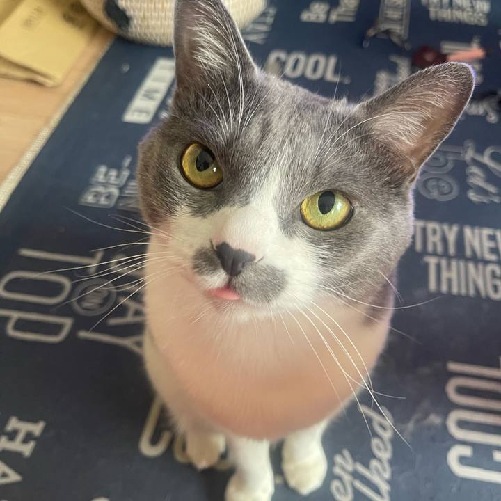 0e42ca11 0699 42fc b96d ff83c85447f1 1716689009736