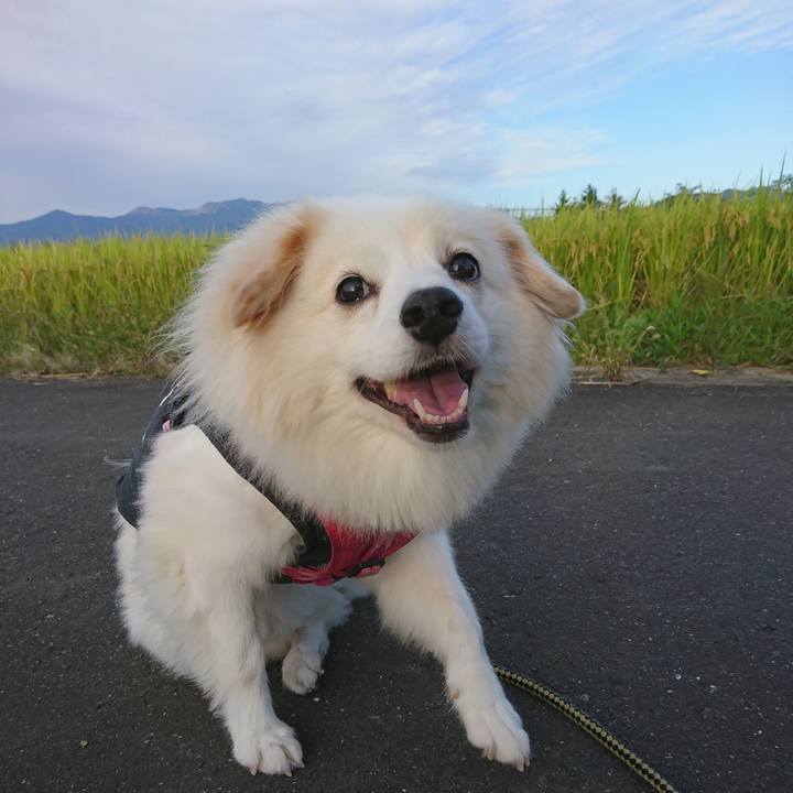 0e42ce30 6370 4f17 b8a1 0ec9e1cc5fae 1537306589116