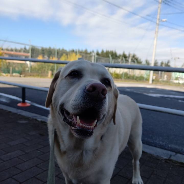 0e430128 ddbb 449b 8653 804f766a42a3 1700564109441