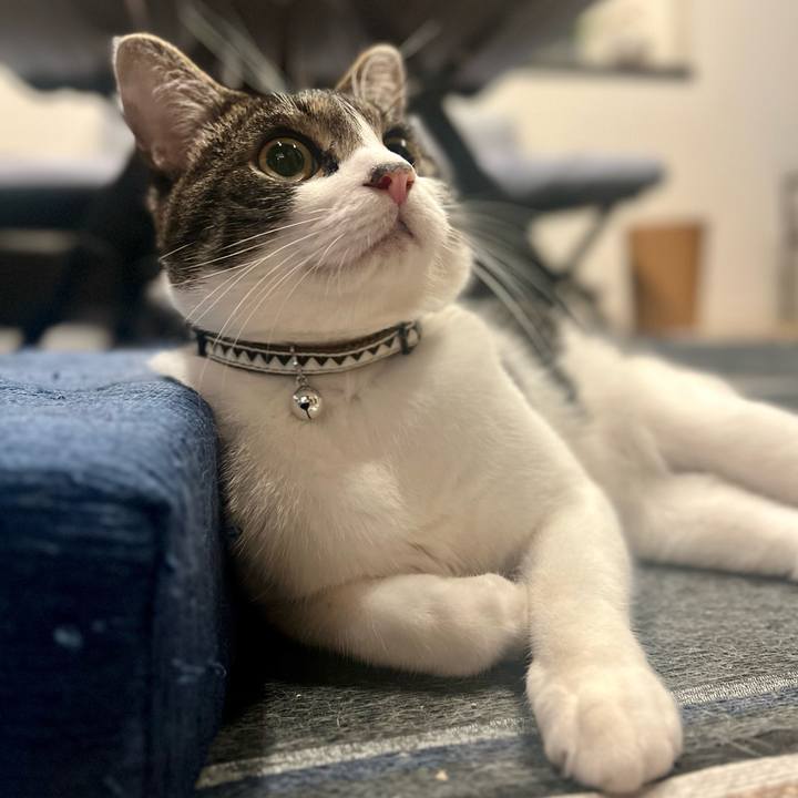 0e4340b3 bd94 4933 9e9d df69fc390f71 1759409332589