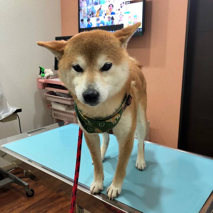 0e43a72f 623f 4060 b0fc 99e3786f7ebc 1555754662208