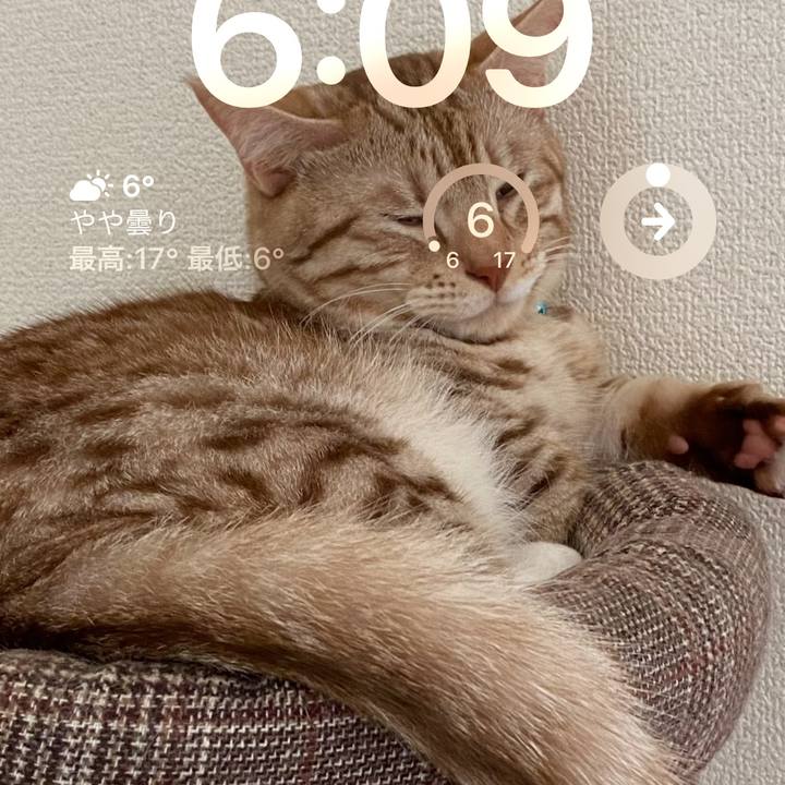 0e43b4ae d316 492c a357 16c450e9bb0d 1678879011180