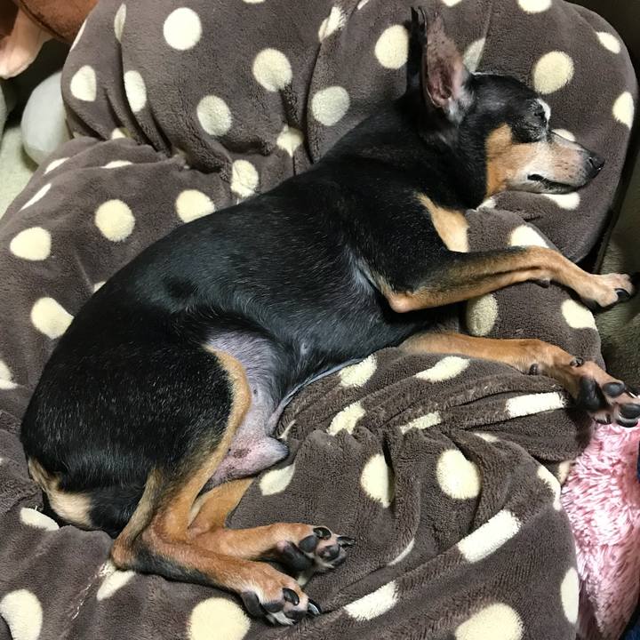 0e4438a0 c4d8 4c72 8760 e0f7a185af34 1528125678015