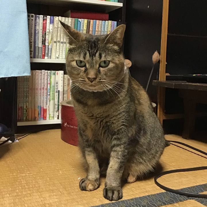 0e4462a7 84e2 4019 a1c6 31da8f16b5e9 1694173898668