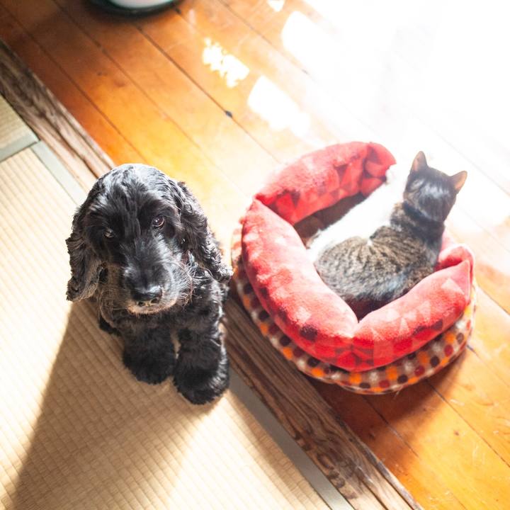 0e447b52 2768 4b7b 84a6 d27726e1f8a1 1574053523220